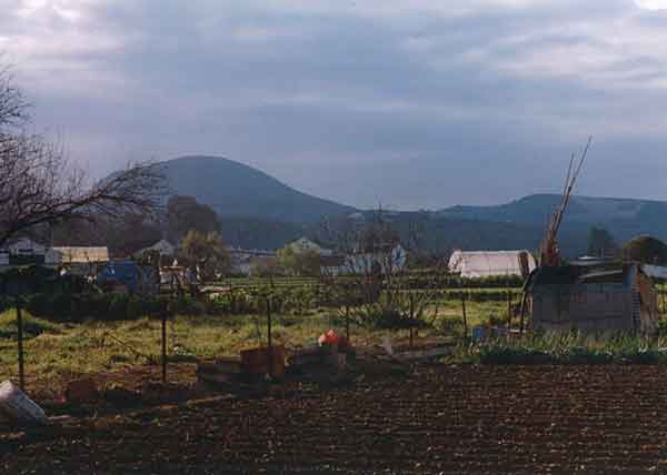  agricultura y huertas de Cabra, Córdoba