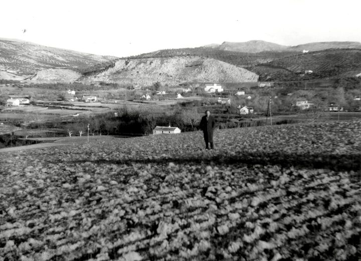  relacionadas con la agricultura de Cabra, Córdoba