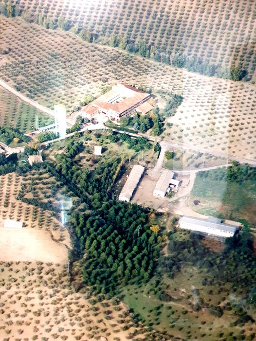 Ftotografia de la agricultura y huertas de Cabra, Córdoba
