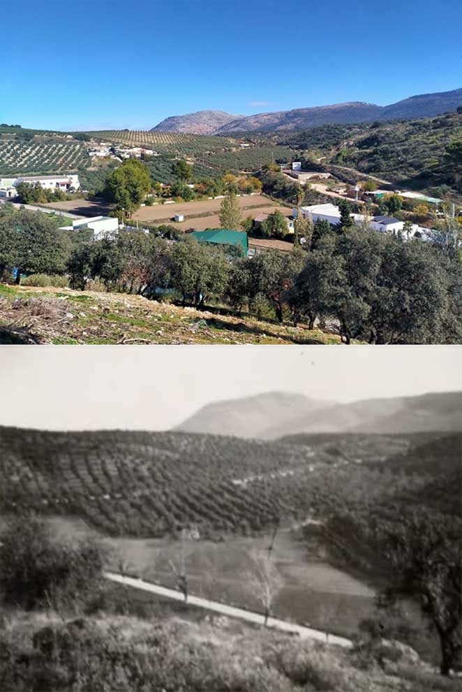 Fotos agricultura y huertas de Cabra, Córdoba