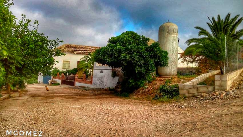 Agricultura y huertas de Cabra, Córdoba