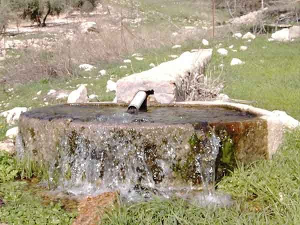 Fotos agua, manantiales, veneros fuentes Cabra