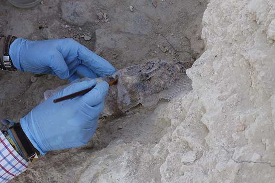 Fotos restos arqueológicos en Cabra de Córdoba