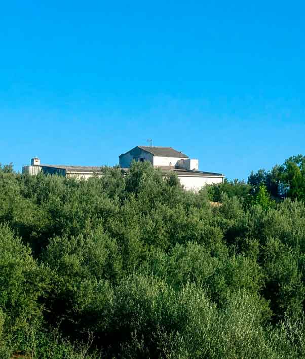 Bares, tabernas, ocio, restaurantes de Cabra Córdoba