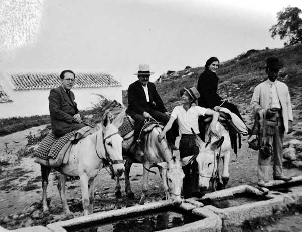 caballos, burros, mulos yuntas, caballerias bueyes, toros de Cabra Córdoba