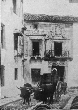 fotos caballos, burros, yuntas, toros, carros de Cabra Córdoba