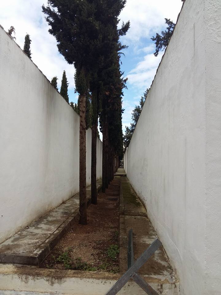 Fotos del cementerio, camposanto de Cabra.
