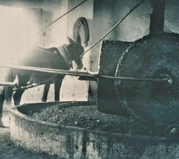 fotografías relativas a las fabricas e industria de Cabra