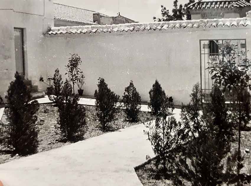 Fotografías relaltivas a la flora egabrense