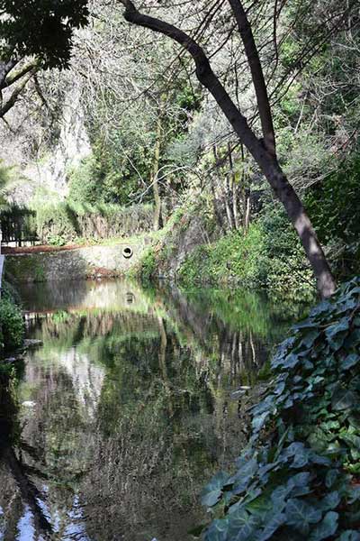 Fotografías de la Fuente del Río paraje natural de Cabra