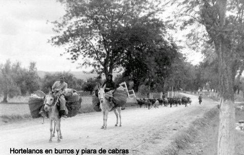 fotografías relacionadas con la ganadería en Cabra de Córdoba.