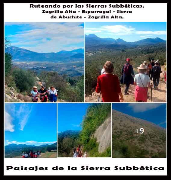  Ruta Zagrilla Alta - Esparragal - Sierra de Abuchite - Zagrilla Alta.