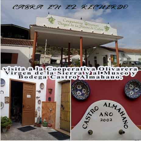 Visita a la Cooperativa Olivarera Virgen de la Sierra y al Museo y Bodega Castro Almahano.