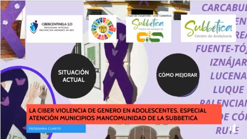   La ciberviolencia contra las mujeres en adolescentes, especial atención a los municipios de la comarca de la Subbética. 