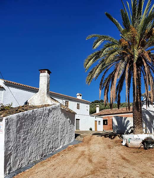 Fotos de la Magna egabrense