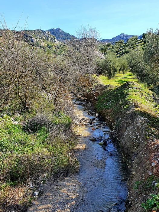 Fotografía de la ruta pedestre al arroyo Chorrón por el camino tradicional