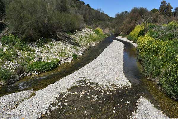 Fotografía de la ruta pedestre al río Salado de Priego
