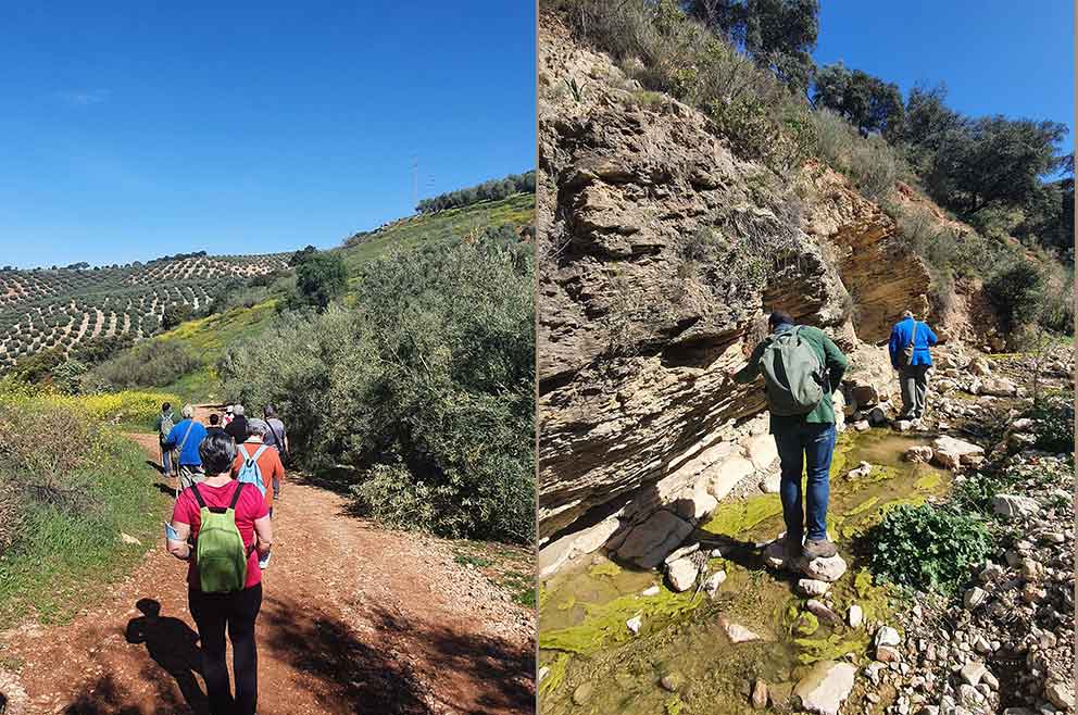 Excursión al Valle de los fósiles. Cabra de Córdoba