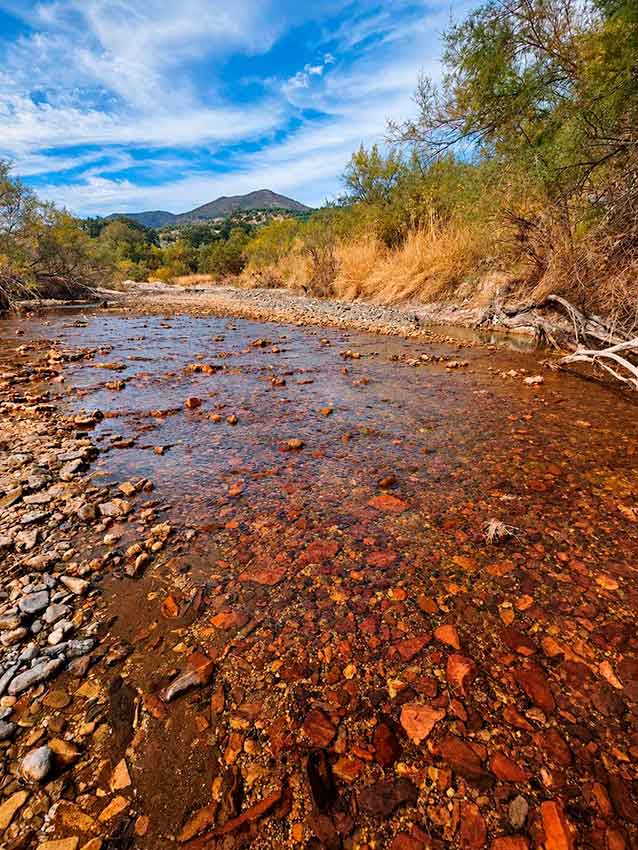 Excursión al Valle de los fósiles. Cabra de Córdoba