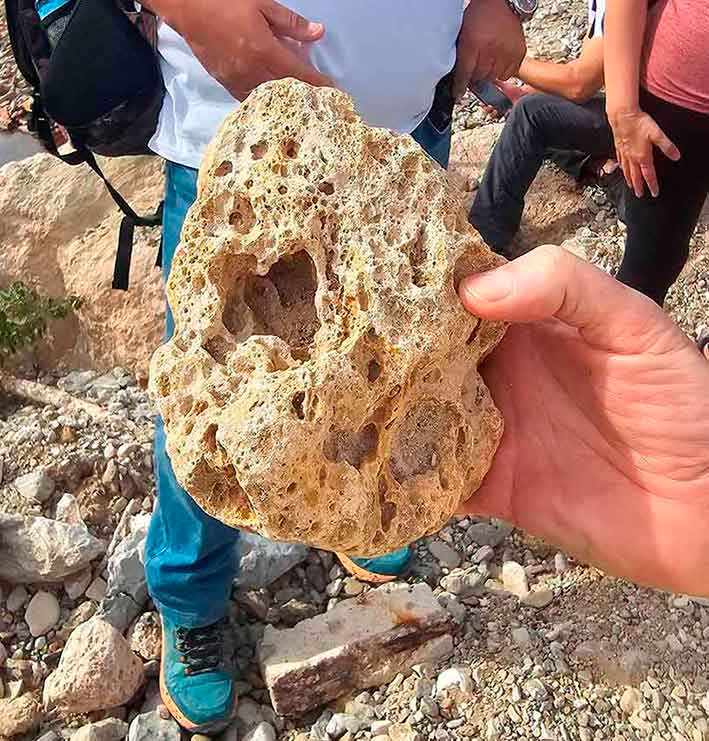 Excursión al Valle de los fósiles. Cabra de Córdoba