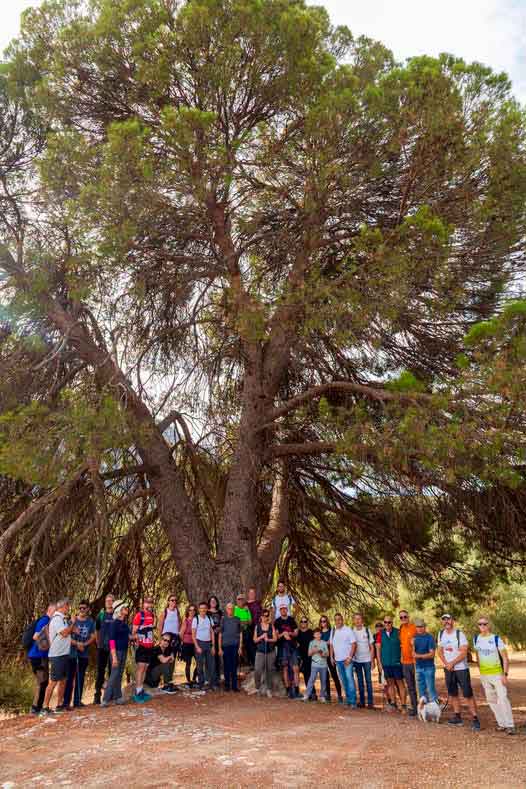 Excursión al Valle de los fósiles. Cabra de Córdoba
