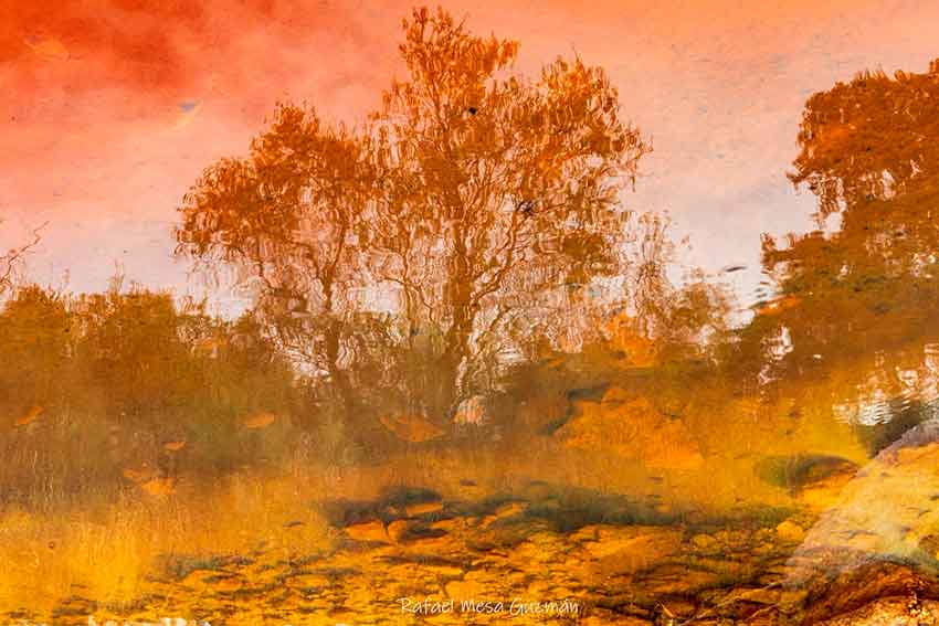 Excursión al Valle de los fósiles. Cabra de Córdoba