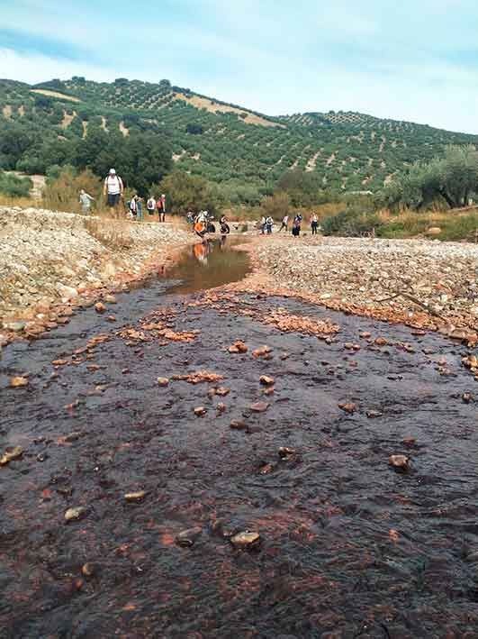 Excursión al Valle de los fósiles. Cabra de Córdoba