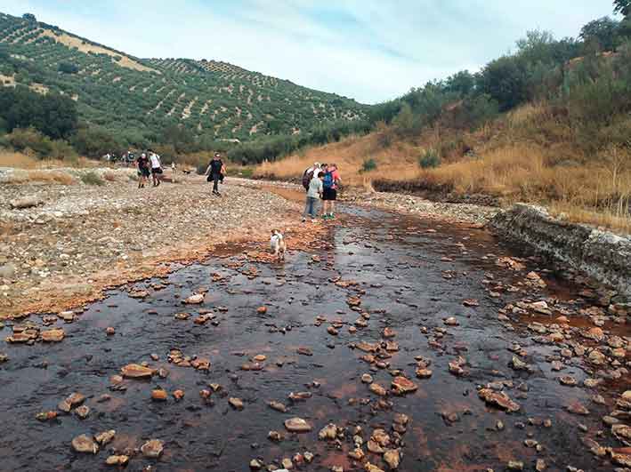 Excursión al Valle de los fósiles. Cabra de Córdoba