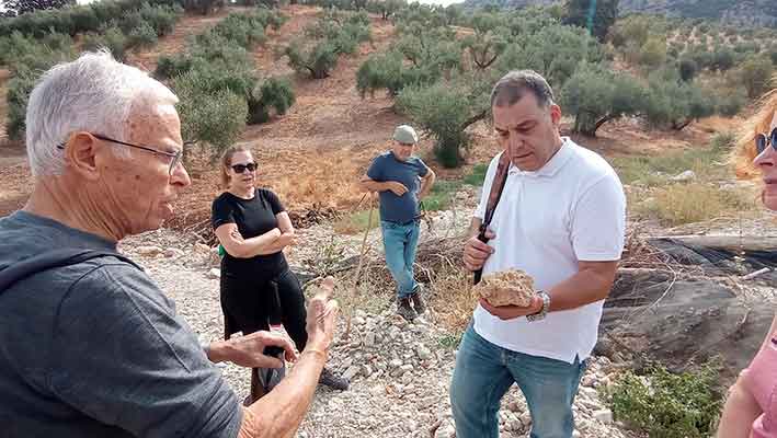 Excursión al Valle de los fósiles. Cabra de Córdoba