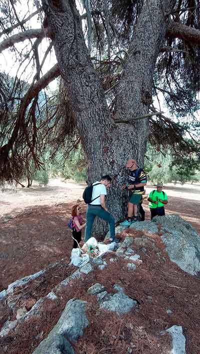 Excursión al Valle de los fósiles. Cabra de Córdoba