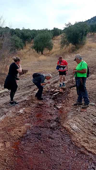 Excursión al Valle de los fósiles. Cabra de Córdoba