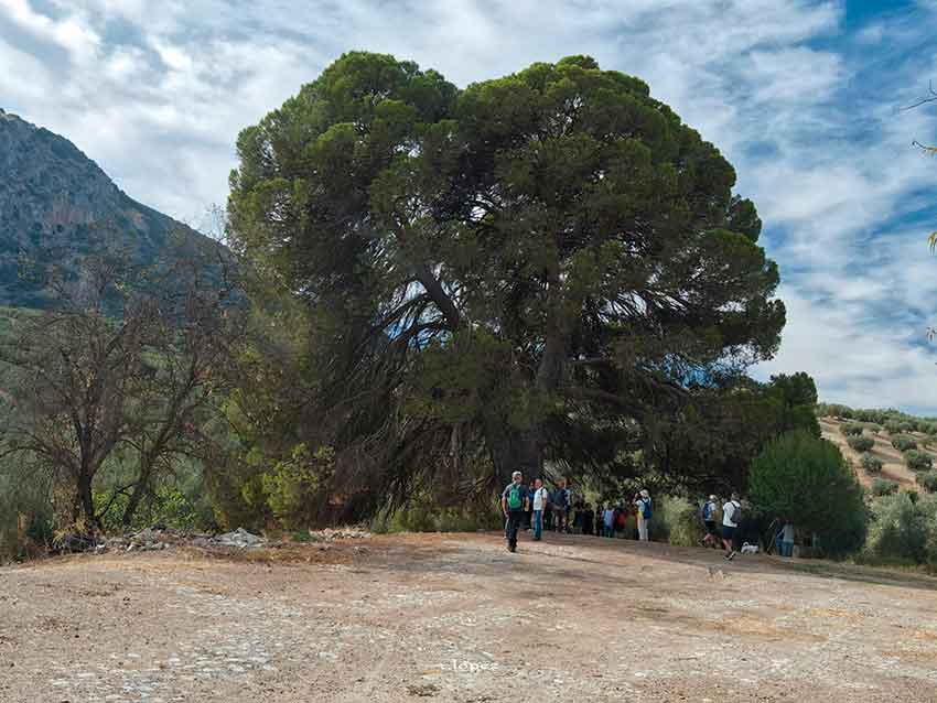 Excursión al Valle de los fósiles. Cabra de Córdoba