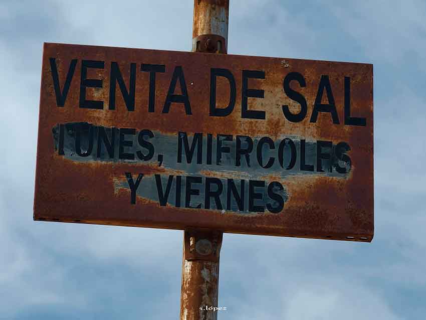Excursión al Valle de los fósiles. Cabra de Córdoba