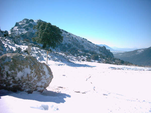 fotografía del paisaje nevado de Cabra
