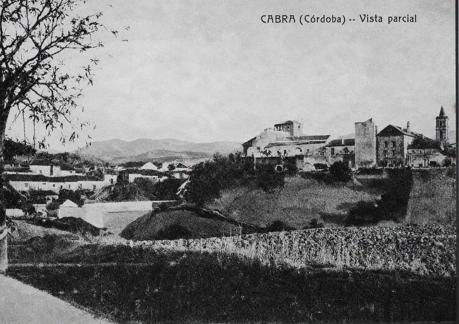 Fotografía del paisaje  de Cabra