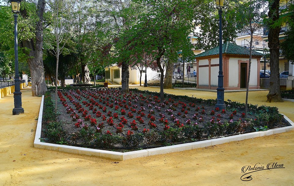 Fotografías del Parque Alcántara Romero de Cabra