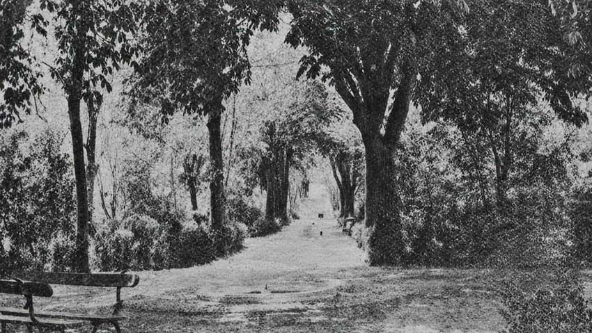 Fotografías del Parque Alcántara Romero de Cabra