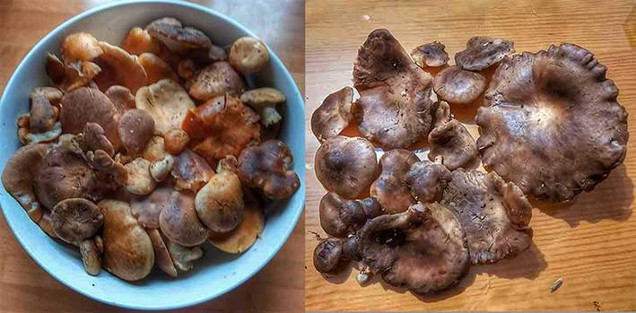 Platos típicos de la gastronomía egabrense