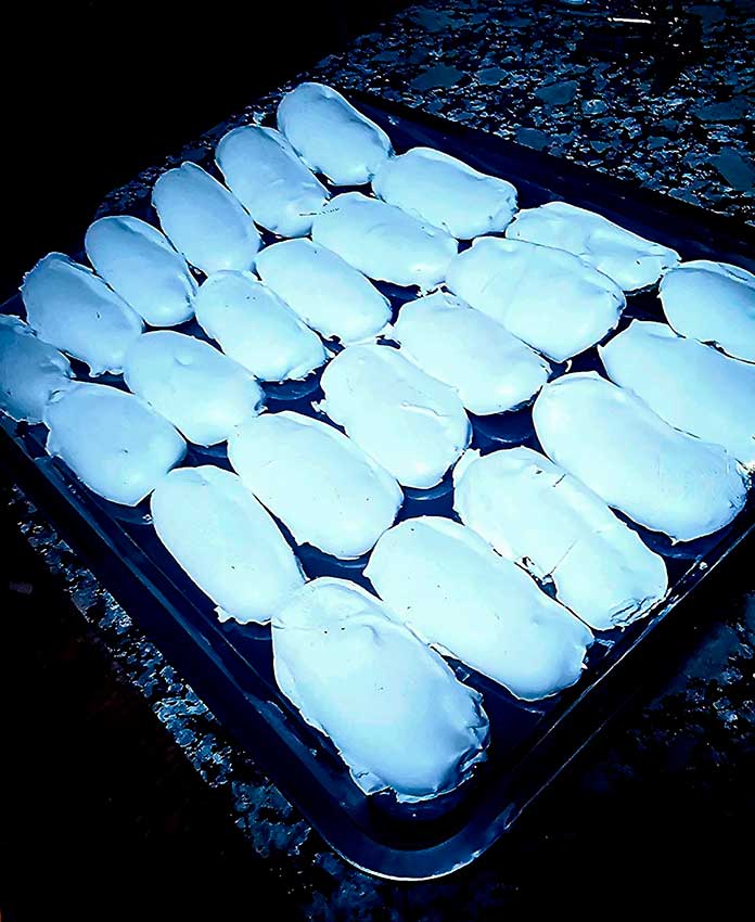 Fotografía relativa a la platos-católica egabrense