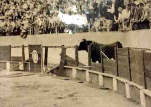 fotografías de la fiesta de los toros en Cabra
