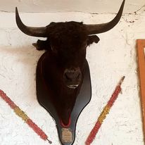 Fotografias relacionadas con la fiesta de los toros de Cabra