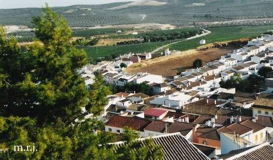 fotografías relacionadas con Monturque de Córdoba.