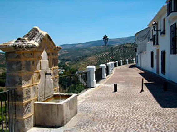 fotografías relacionadas con Priego de Córdoba.