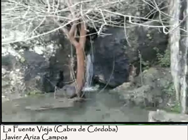  Vídeo facilitado por Mercedes Lama Serrano, en el que podemos apreciar el paisaje social de Cabra a finales de los años 60.